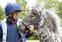 Saddle Up Safely: Choosing the Perfect Horse Riding Helmets for Kids"