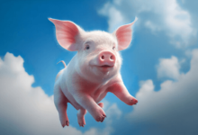 Cute:Pamwaummhqs= Pig