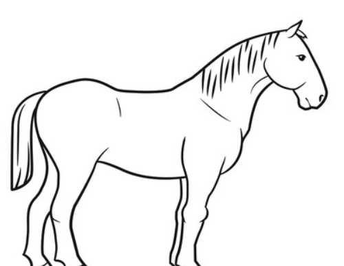 Drawing:Ljd413jlg70= Horse