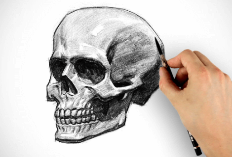 Drawing:Oldj_7nsvxk= Skulls