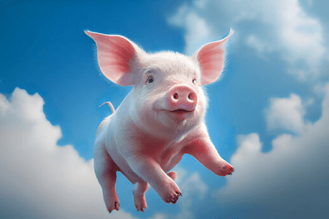 Cute:Jmb_Ljazido= Piglet