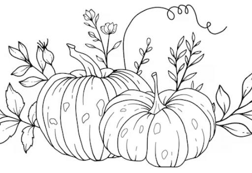 Outline:G7x5uoigido= Pumpkin