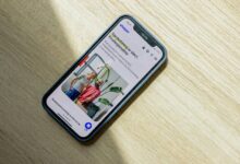 build your digital success