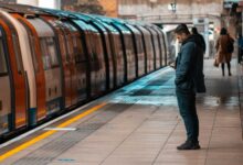 expand online authority platform